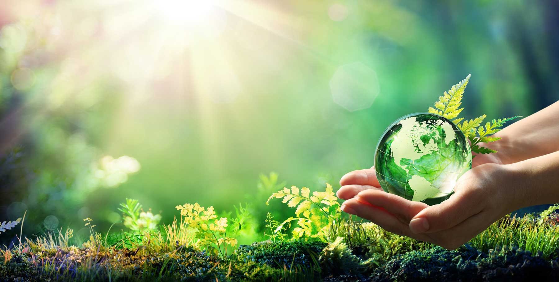 Environmental Sustainability for Recycled Plastic