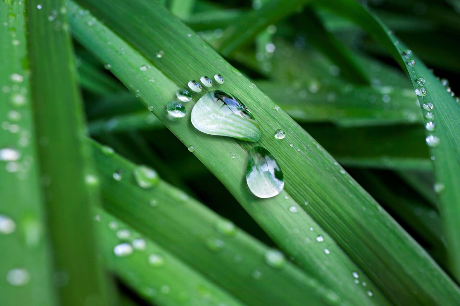 Sustainable RecycledPlastic
